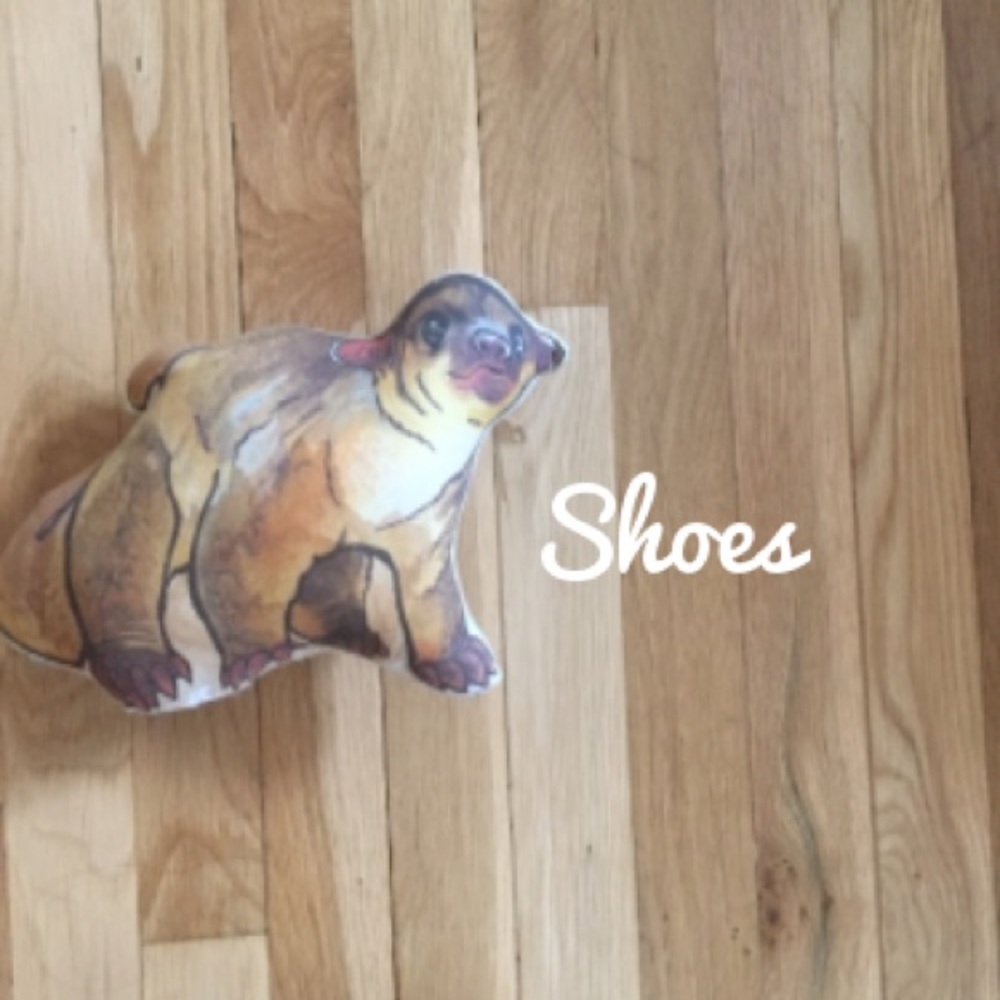 SHOES --->